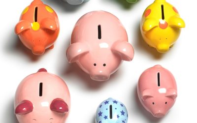 Funding Opportunities for Schools and Individuals