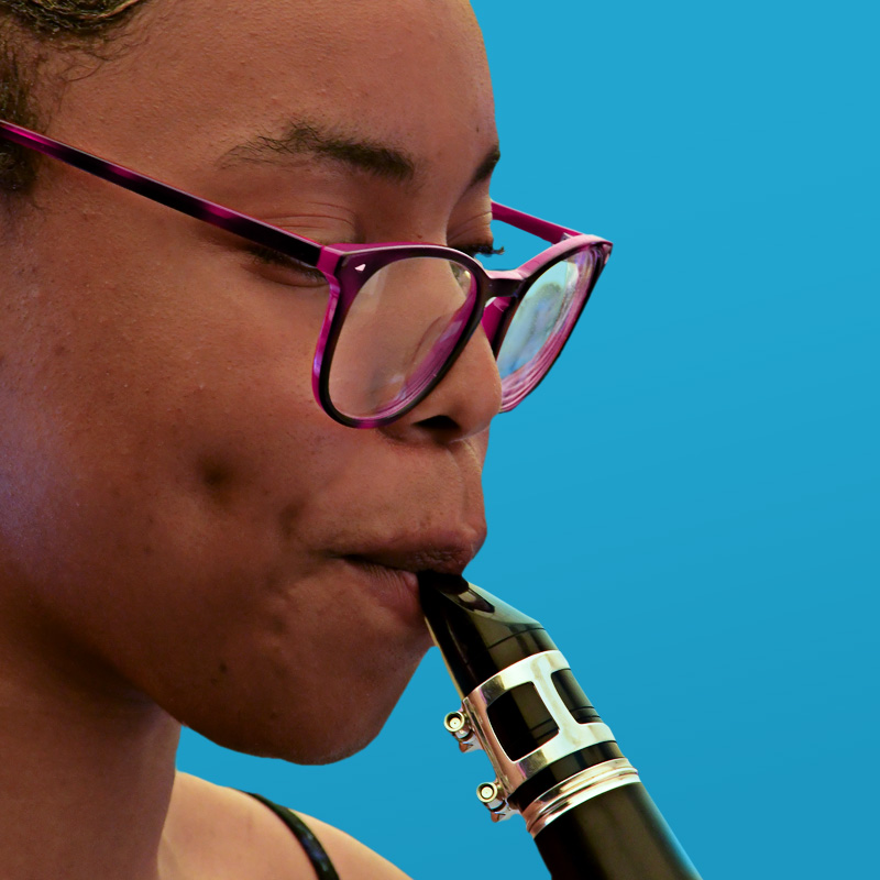 Friends Clarinet Blue